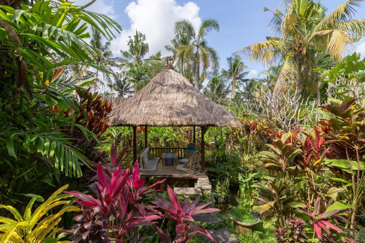 Bali Firefly Bnb Убуд Экстерьер фото